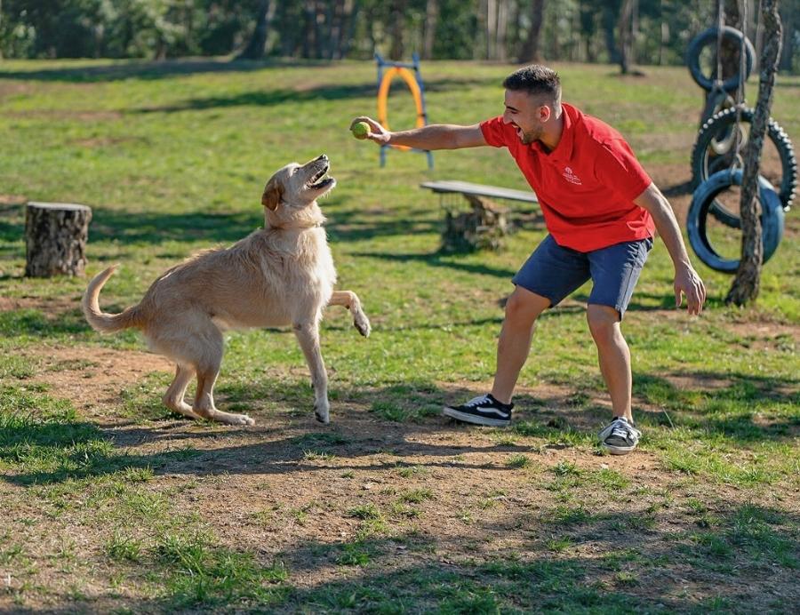 Hotel para Cães em Tomar