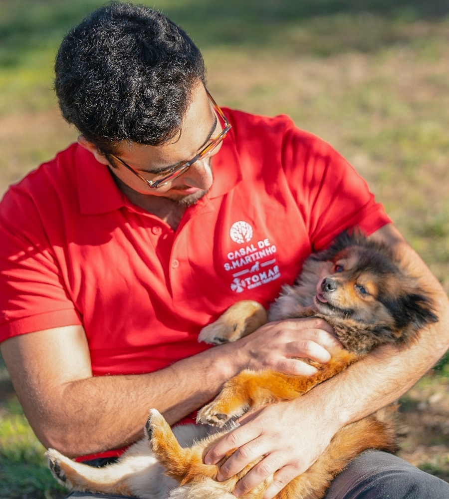 Hotel para Cães em Tomar