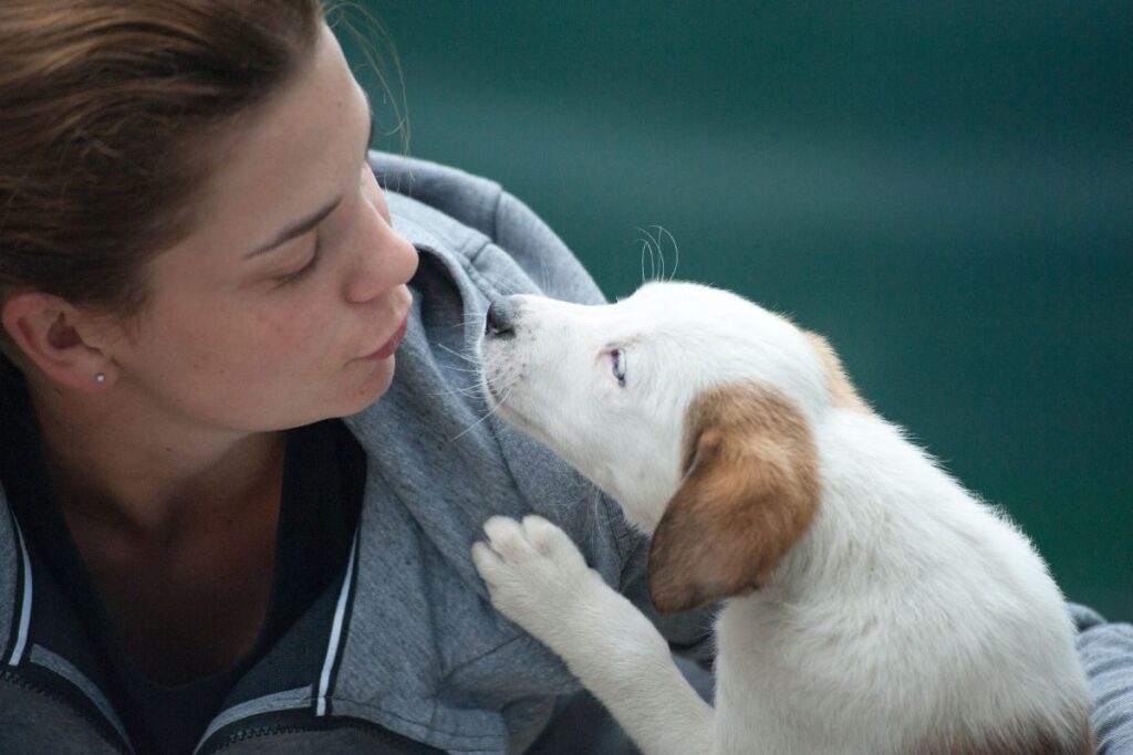 7 Signs Dogs Love Their Owners